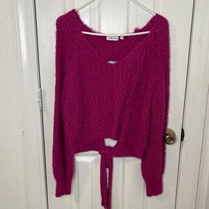Chic V-Neck Fuzzy Knit Sweater - Berry